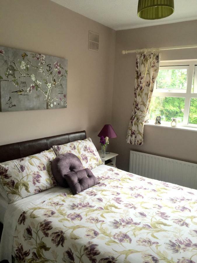 Tara Lodge Galway Luaran gambar